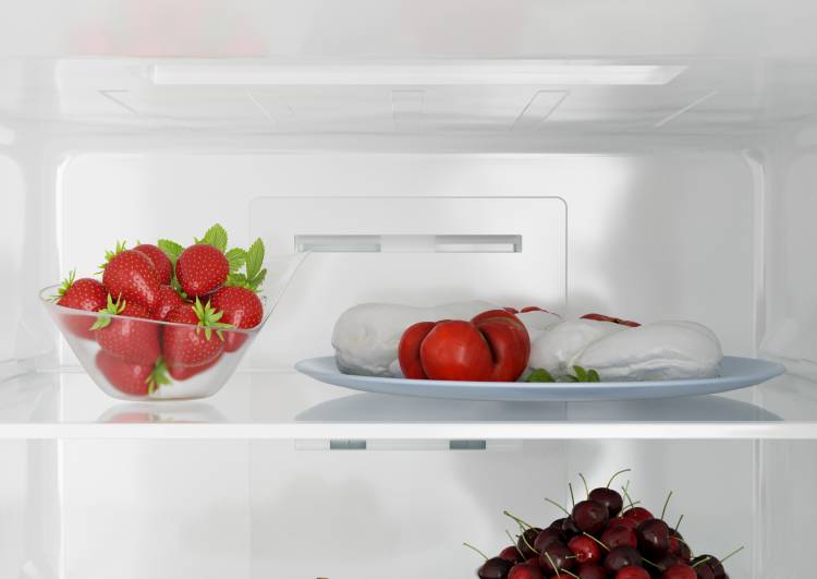 Холодильник Candy CCRN 6200C